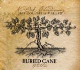 Buried Cane - No Oak Chardonnay 2016 (750ml)